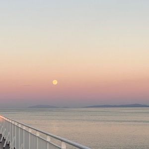 Meet your Posher, Sam